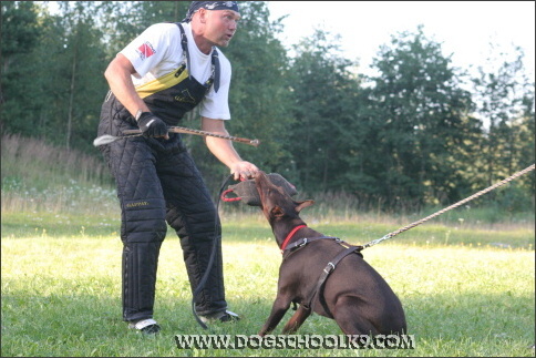 Summer training camp in Finland 2007